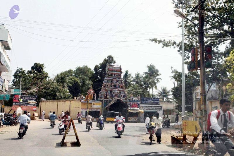 File:20100123 IMG 3659 CMP WM01.jpg