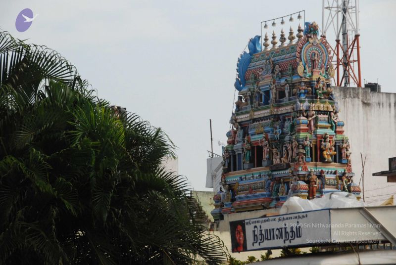 File:20100124 Photo 1034 1bi3yoaopw -zpR2gdaidxiEU7huqBhJh.JPG