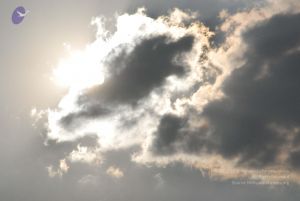 20100126 Photo 1092 1DjGKmzf-mLb0bWg-Y8uxAmRBDkjqIu7k.JPG