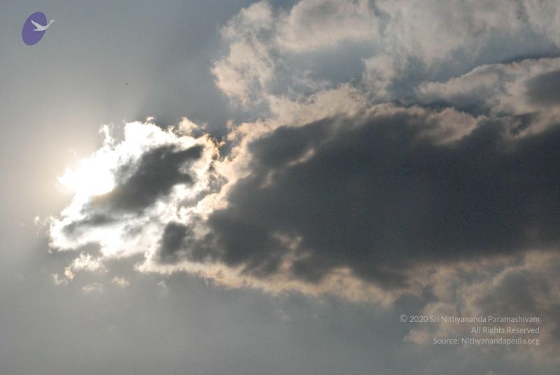 File:20100126 Photo 1093 1LfWumdVX-bd1eblGgCtRDssPbNteadKO.JPG