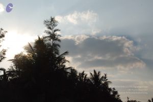 20100126 Photo 1095 15lrGDhFD0Q1uZmIOS4 45NTEk9vXhktb.JPG