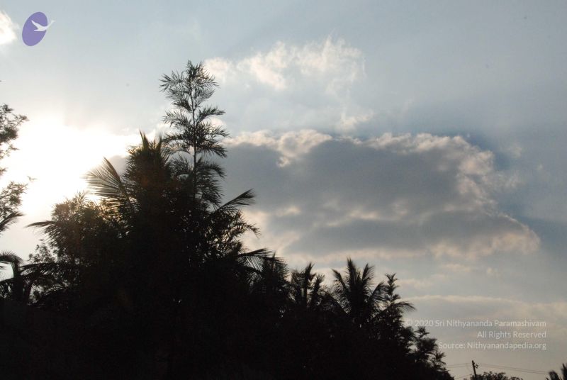 File:20100126 Photo 1095 15lrGDhFD0Q1uZmIOS4 45NTEk9vXhktb.JPG