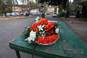 20100126 Photo 1097 11 Mzt8sHeiIGm5DX9pZEMhvOnLkOd5zz.JPG