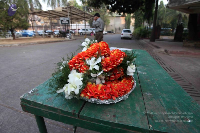 File:20100126 Photo 1097 11 Mzt8sHeiIGm5DX9pZEMhvOnLkOd5zz.JPG