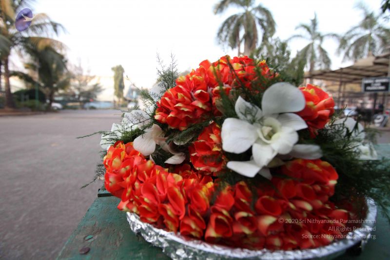 File:20100126 Photo 1098 1Md46bX5NNKU4Z2U7TTEHnn0QevHtv8gk.JPG