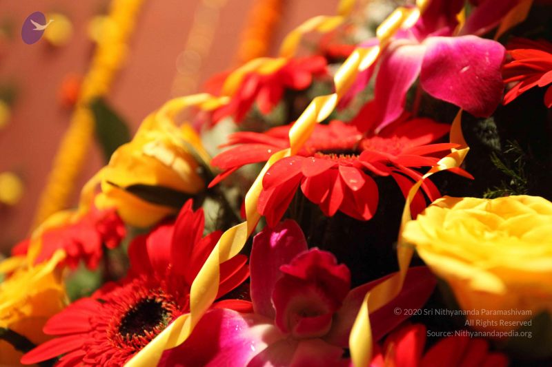 File:20100126 Photo 1101 1LdzkORrVIgykf9bVkXHh8Mbtsgy4L1fd.JPG