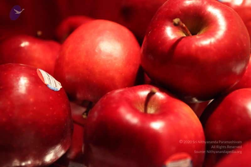 File:20100126 Photo 1104 1zIl8VFS9wqeQiHi-7MORgaDcdky7Bmnd.JPG