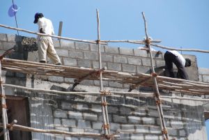 20100127 Photo 1258 13d9EHD9D2mVE-wMROf5xPmQgYcS644M9.JPG