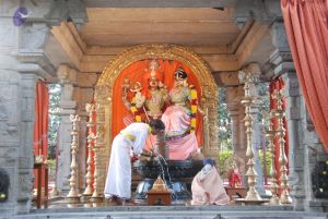 20100127 Photo 1292 1wgGmNL9nQjo-X-o2SLhoodyRjv7NXc7E.JPG