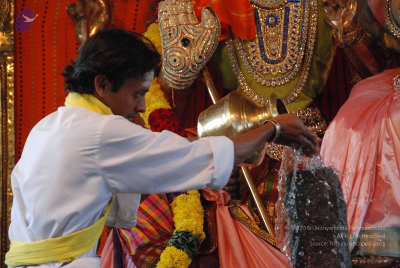 File:20100127 Photo 1293 1PAD38CDn0ALRqYsj-Nz7mGPMNhJOJVkh.JPG