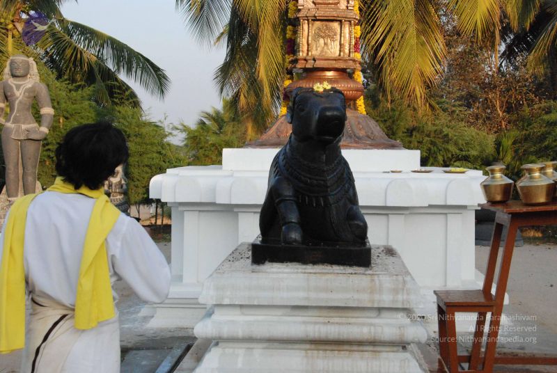 File:20100127 Photo 1307 18NF4A2naM0qWOyWU2 4nqXjE4Q4L1QEA.JPG