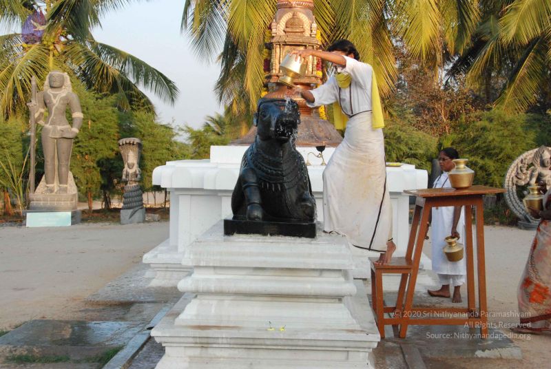 File:20100127 Photo 1312 1APc39pOPs0gt2gicnPJElfqZ2EN3c91W.JPG