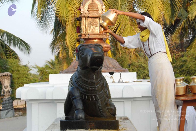 File:20100127 Photo 1316 19Xr0A2tAUNt8uKZDNgSUHhO6dWB96qYC.JPG