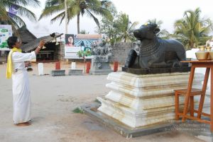 20100127 Photo 1321 1rOc5e1Jr2tOKYA7B2ElV0ptw3X RsItd.JPG