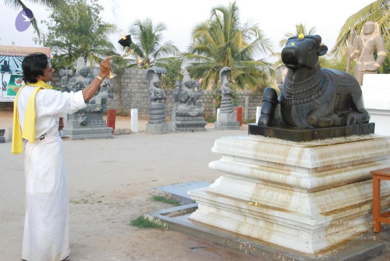 File:20100127 Photo 1322 1fG -05Pmg 1l8H5xaaTXCB1Aj53zNmwe.JPG