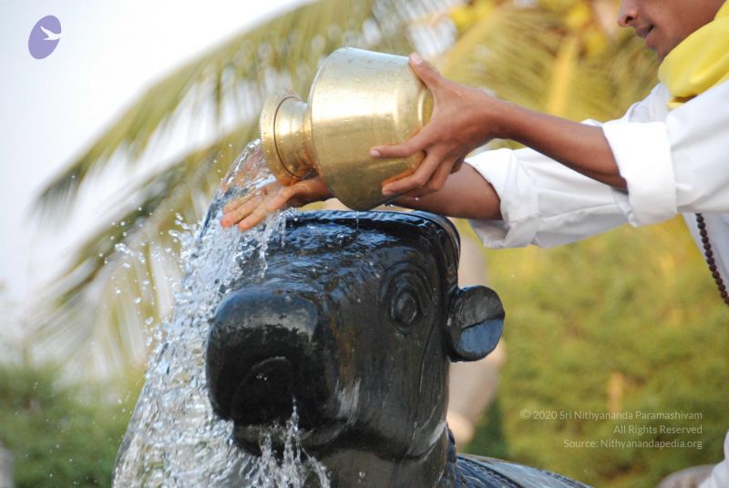 File:20100127 Photo 1332 1J-wTApSdz2xOazAK4oZUBZJQnd2-14zO.JPG