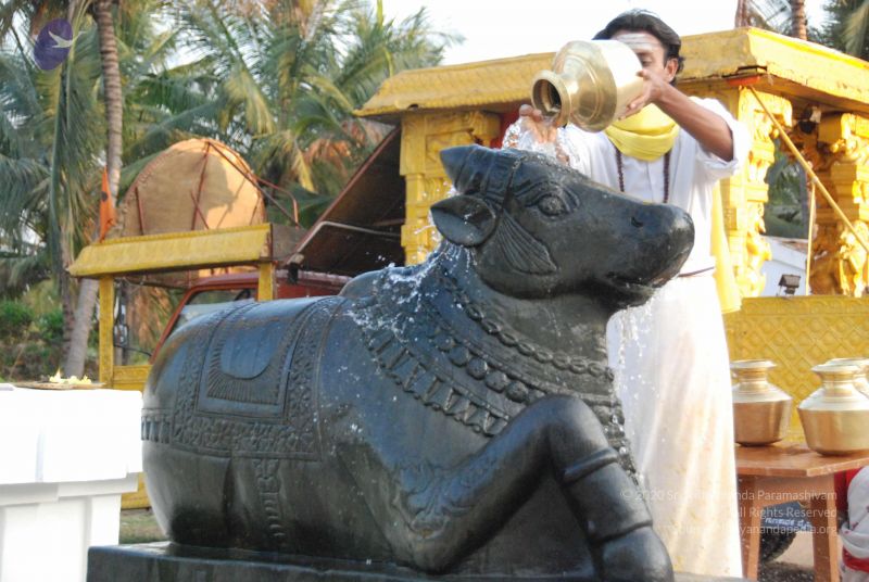 File:20100127 Photo 1334 1I1musA7FmxqJ8OAx K5GLZJswwcgZg-j.JPG