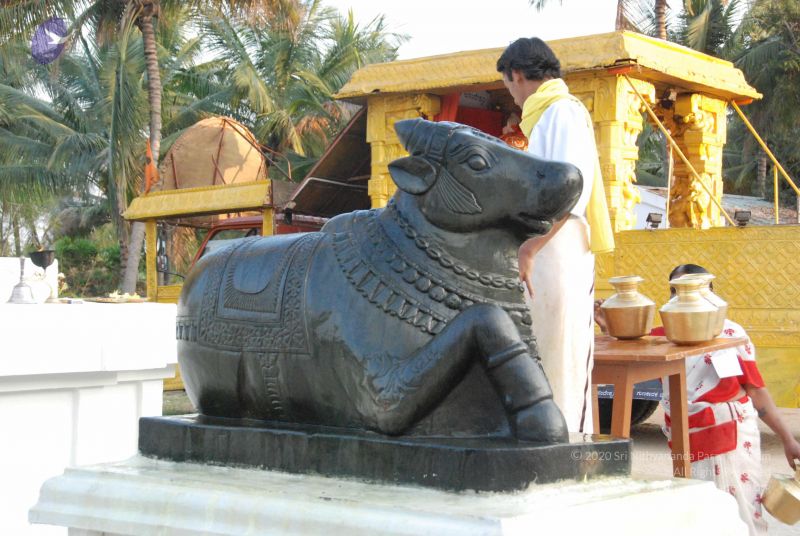 File:20100127 Photo 1335 1Yvbvhb32UnWHS3wDmx3OIeQZjybTJOUD.JPG