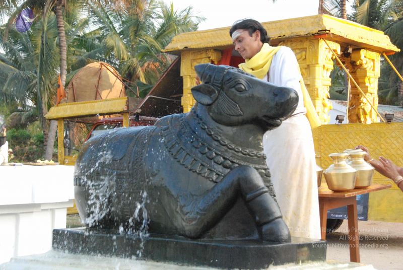 File:20100127 Photo 1337 1nzrO82TL-U non-k0Y8iZjDsEQ9pdCT .JPG