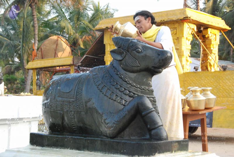 File:20100127 Photo 1339 1p0GoqSqQn68LU1 eN5 rWGae6lKz7Hvx.JPG