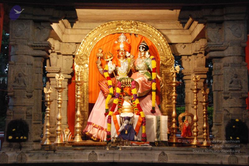 File:20100127 Photo 1342 1ygYiZ9tGEvnZ8FxxDJOP-YesDI5A0gIW.JPG