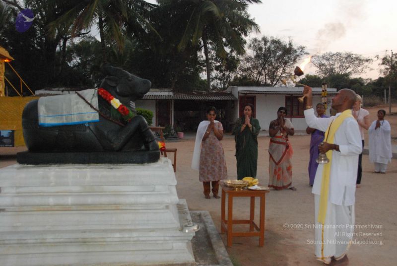 File:20100127 Photo 1354 1DATD-oFIgxUimWmxgaIxFspWaSzx qXN.JPG