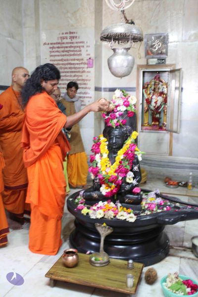 File:20100128 Photo 1353 1-uyIrDe9mMscchpSSvXrtJ34x bOuowI.JPG