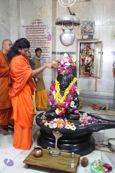 File:20100128 Photo 1357 1pmyRLkEpnMnIiyIZkgQ-t7Mpd77eje3s.JPG