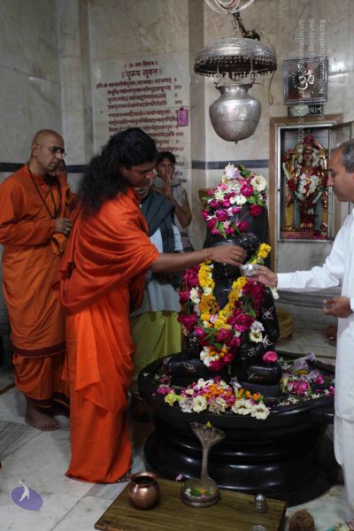 File:20100128 Photo 1372 1mRjJV4DIRpH0-m8wANU3iAhR3ZetVpSk.JPG