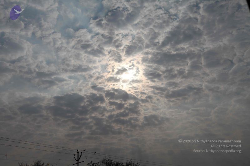 File:20100128 Photo 1419 1 kP3kHH03DpSY7Ldf-8u-P-DlmrR8hmp.JPG