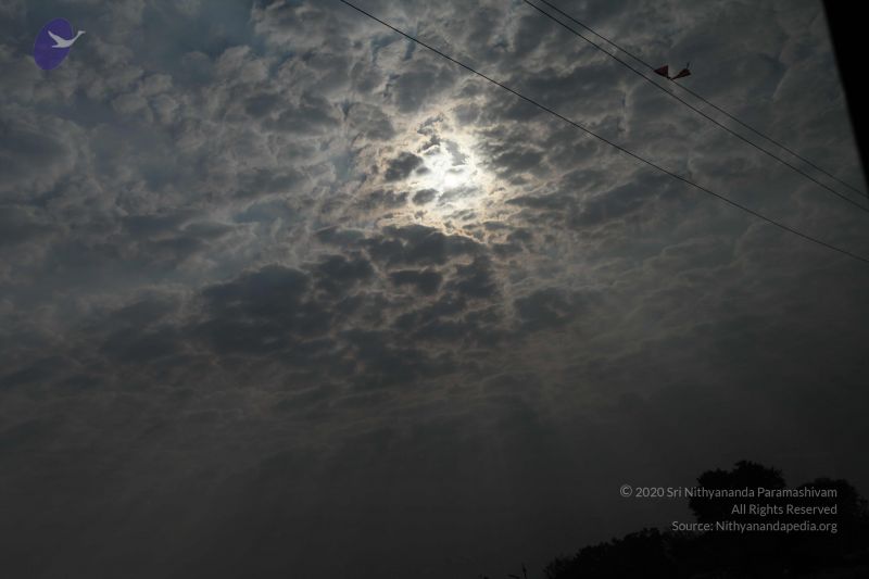 File:20100128 Photo 1421 1C26QOyHXx4FDGAM4iJqyGoZ UzaNSL1H.JPG