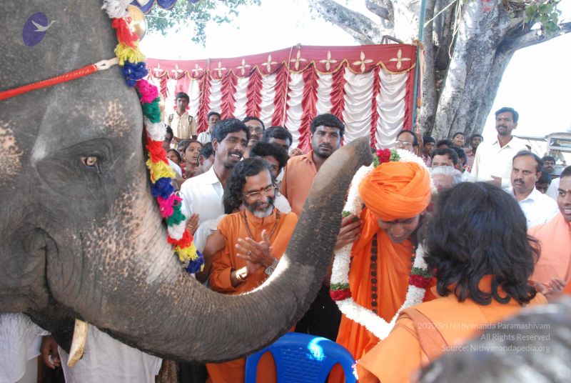 File:20100129 Photo 1064 1FEuQUY2RBsJ64OTu9WUdDY7E 7n2RHck.JPG