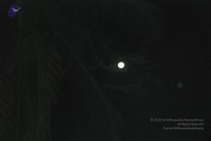 20100129 Photo 1212 18v4-c6YY9Lqzw1F1KTlet8AeAFTPX6eq.JPG