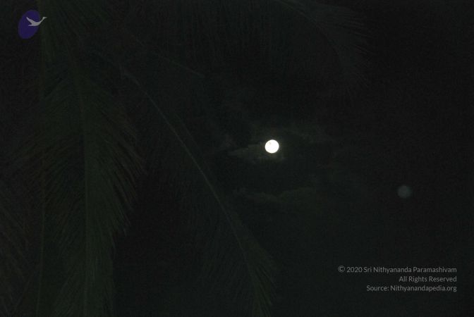 20100129 Photo 1212 18v4-c6YY9Lqzw1F1KTlet8AeAFTPX6eq.JPG