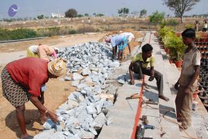 20100201 Photo 1013 1XB pqqYqImd6T1LWfgWYj87Z1DE8qph .JPG