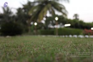 20100202 Photo 1204 1I9H2JbEEMiZ70rXrIbr50Qoi5 MNa2xF.JPG