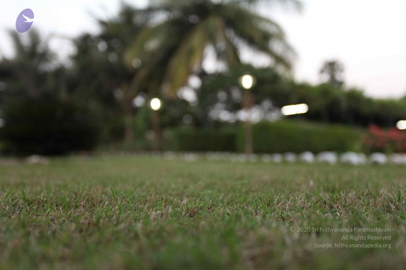 File:20100202 Photo 1204 1I9H2JbEEMiZ70rXrIbr50Qoi5 MNa2xF.JPG