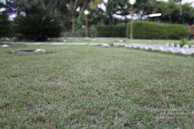 20100202 Photo 1205 1kN2X-m9i cOvw7QPck79b2siSxQxMiLh.JPG