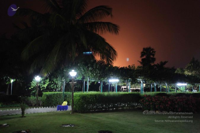 20100202 Photo 1207 1FtpLOCivzFdrq6PxZbUoBdmg5GfR2FI0.JPG