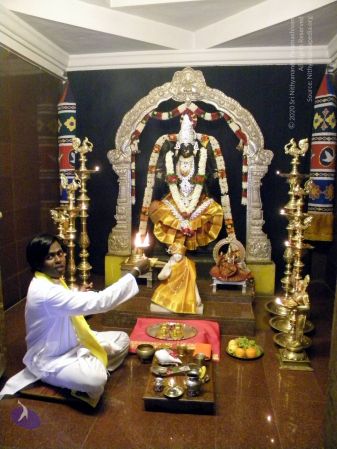 20100203 DSCN2857 CMP WM1.jpg