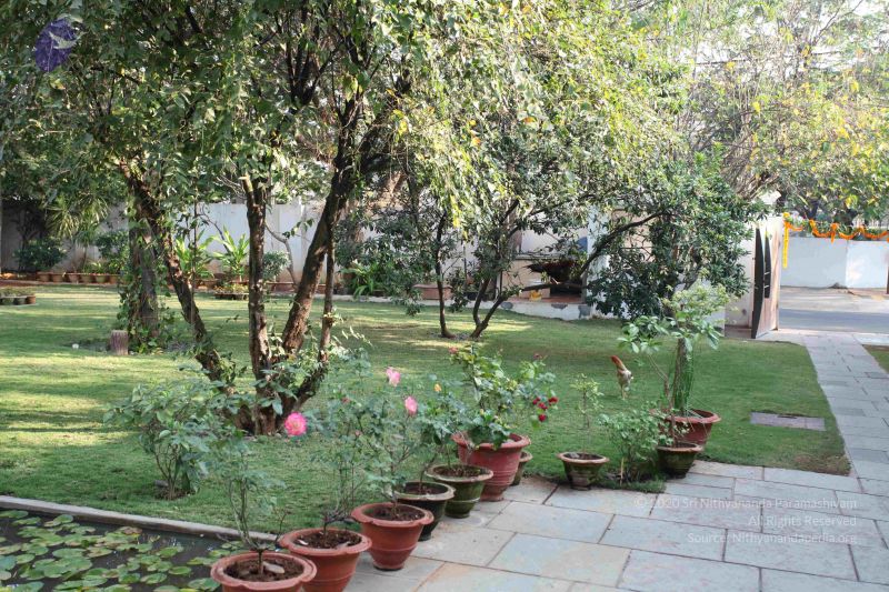 File:20100205 Photo 1003 11dZ03PB3zGjz8k R51-YsyTS1sdXelaF.JPG