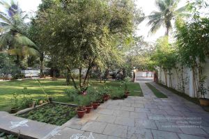 20100205 Photo 1004 14fcodiVK pD2fwVh KTpyrCN1xSk4gvT.JPG