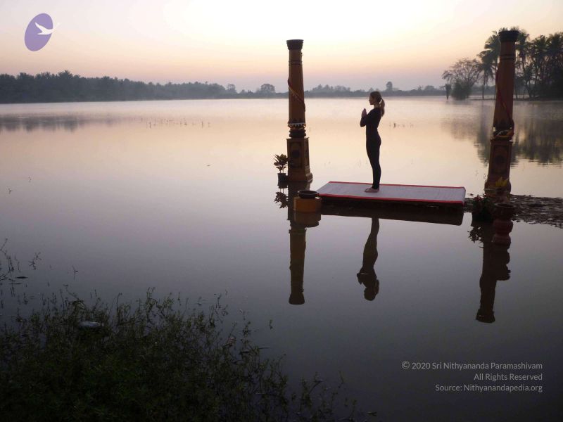 File:20100206 Photo 100 1OEGHMce3jXYo3pnRhUCeFY-uMKgOwdd4.jpg