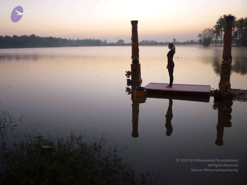 File:20100206 Photo 101 1CyFq5GhsOMHTgpU12YTUAzSAmvBU GQb.jpg