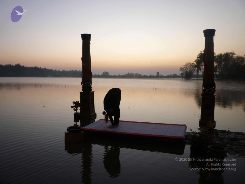 File:20100206 Photo 103 1-E3Htia5D9cU171Ymd rSW9K0226Wflo.jpg