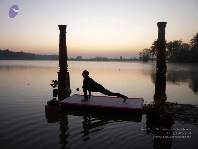 File:20100206 Photo 104 1LQRGWGoRA8eTJn5cKhSM5RwNgOkgr70 .jpg