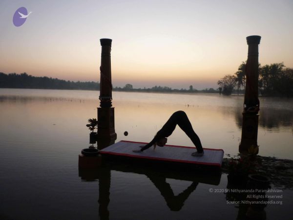 20100206 Photo 105 1A0g0-nehcJsX5xjy1INEbpPEEyyMjVO-.jpg