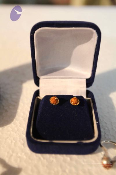 File:20100206 Photo 1078 1g9kIgF-G8Ur-UCDji2r9G3BVE08e0bH5.JPG