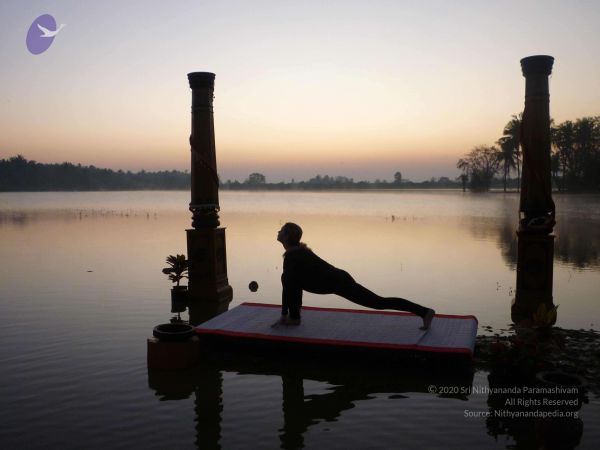 20100206 Photo 109 1pqcy32LeoVG9IG6UTj32DjPNbL iRXOf.jpg