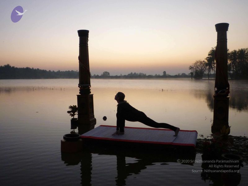 File:20100206 Photo 109 1pqcy32LeoVG9IG6UTj32DjPNbL iRXOf.jpg